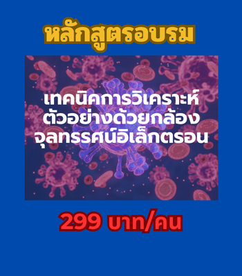 เทคนิคการวิเคราะห์ตัวอย่างด้วยกล้องจุลทรรศน์อิเล็กตรอน (299 บาท/คน)