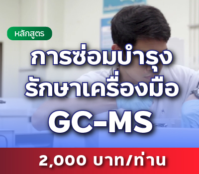 หลักสูตร 